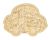 IMG_7662